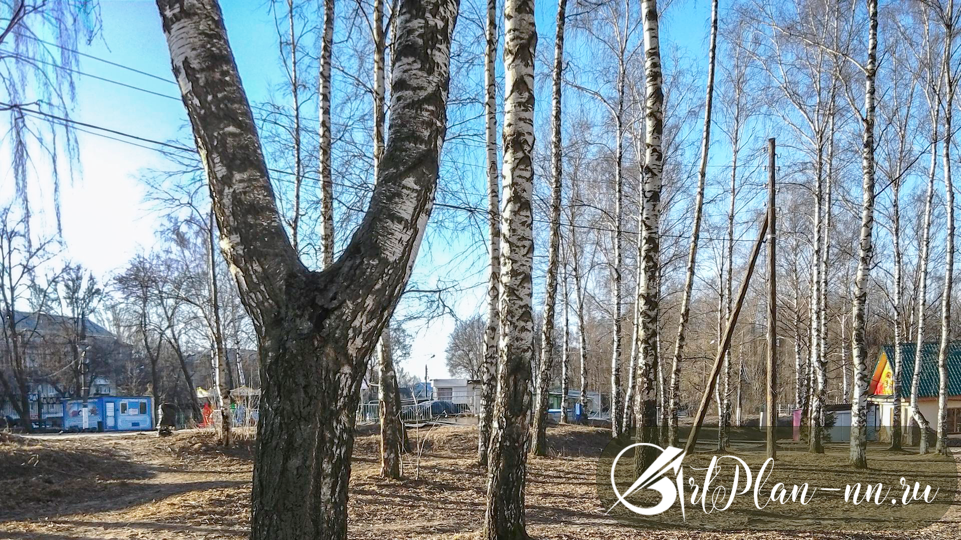 Парк Швейцария  Фото от 22 марта 2020 Воскресенье в 7:46